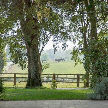 Tenuta Mariano Noceto Exteriér fotografie