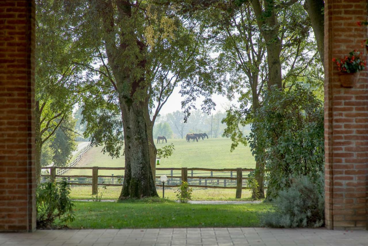 Tenuta Mariano Noceto Exteriér fotografie